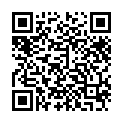 62.(Heyzo)(0734)クレーム処理に来た保険会社社員に悪戯してヤッた_水原りか的二维码