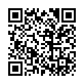 Pirates of the Caribbean At Worlds End 2007 1080p Bluray x265 10bit AAC 5 1-Tigole-zippyshare.com的二维码